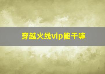 穿越火线vip能干嘛