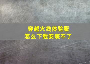 穿越火线体验服怎么下载安装不了