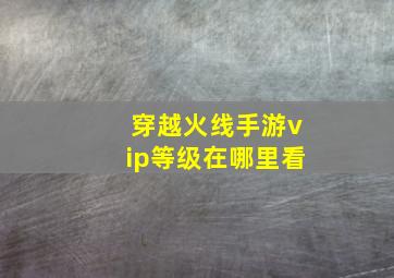 穿越火线手游vip等级在哪里看