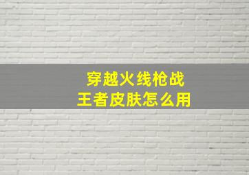 穿越火线枪战王者皮肤怎么用