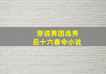 穿进男团选秀后十六春令小说