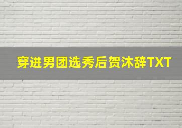 穿进男团选秀后贺沐辞TXT