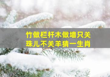 竹做栏杆木做墙只关珠儿不关羊猜一生肖