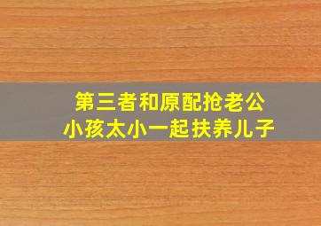 第三者和原配抢老公小孩太小一起扶养儿子