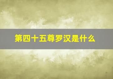 第四十五尊罗汉是什么