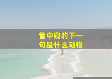 管中窥豹下一句是什么动物