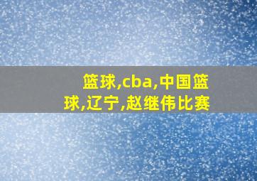 篮球,cba,中国篮球,辽宁,赵继伟比赛