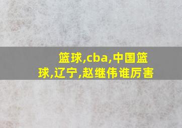 篮球,cba,中国篮球,辽宁,赵继伟谁厉害