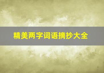 精美两字词语摘抄大全