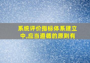 系统评价指标体系建立中,应当遵循的原则有