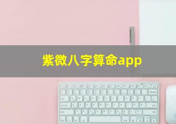 紫微八字算命app