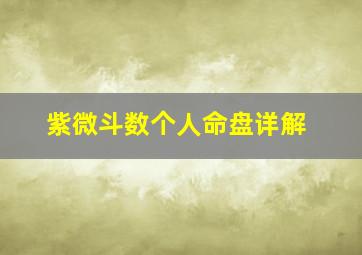 紫微斗数个人命盘详解