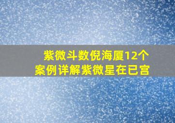 紫微斗数倪海厦12个案例详解紫微星在已宫