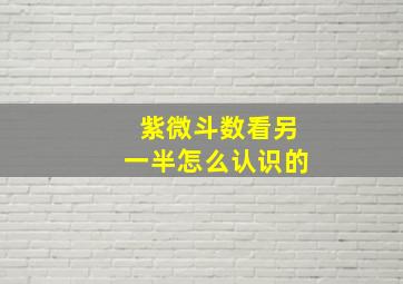 紫微斗数看另一半怎么认识的