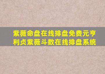 紫薇命盘在线排盘免费元亨利贞紫薇斗数在线排盘系统