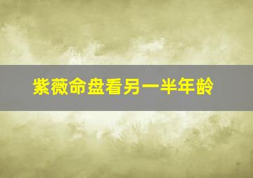 紫薇命盘看另一半年龄