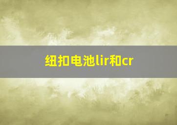 纽扣电池lir和cr