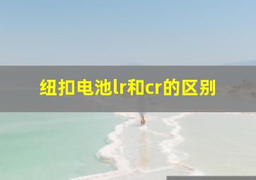 纽扣电池lr和cr的区别