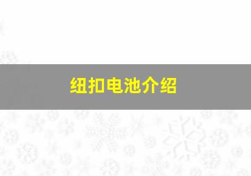 纽扣电池介绍