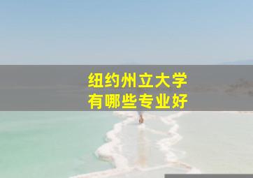 纽约州立大学有哪些专业好