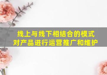 线上与线下相结合的模式对产品进行运营推广和维护