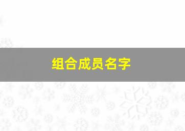 组合成员名字