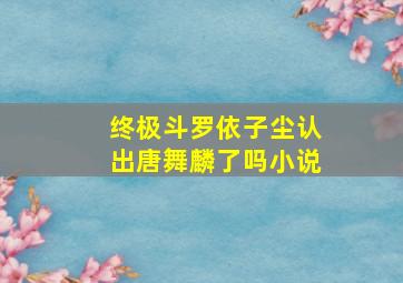 终极斗罗依子尘认出唐舞麟了吗小说