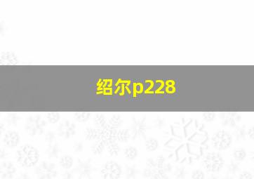 绍尔p228