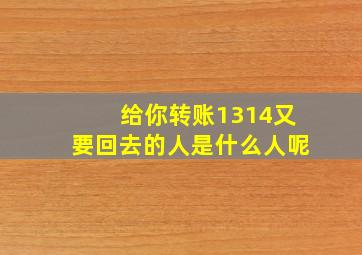 给你转账1314又要回去的人是什么人呢