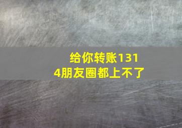 给你转账1314朋友圈都上不了