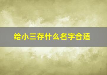 给小三存什么名字合适