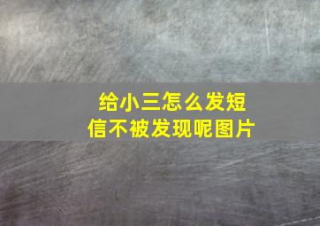 给小三怎么发短信不被发现呢图片