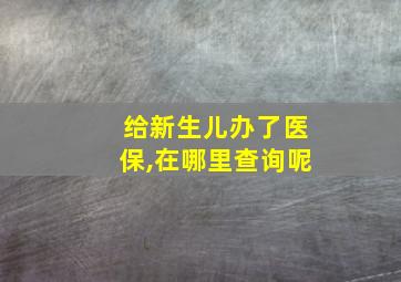 给新生儿办了医保,在哪里查询呢