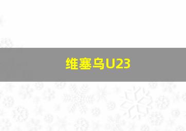 维塞乌U23