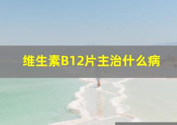 维生素B12片主治什么病