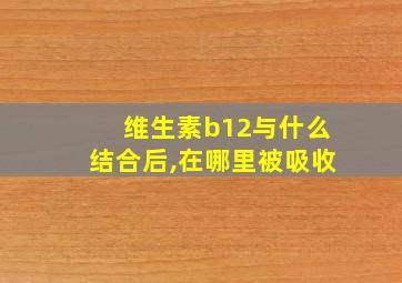 维生素b12与什么结合后,在哪里被吸收