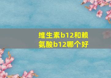 维生素b12和赖氨酸b12哪个好