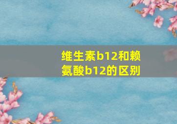 维生素b12和赖氨酸b12的区别