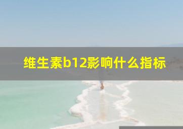 维生素b12影响什么指标