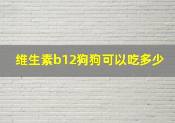 维生素b12狗狗可以吃多少