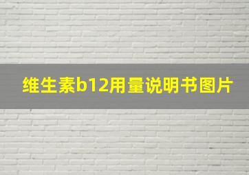 维生素b12用量说明书图片