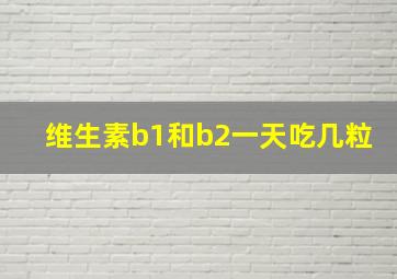 维生素b1和b2一天吃几粒