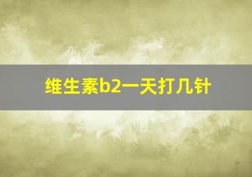 维生素b2一天打几针