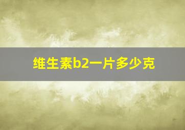 维生素b2一片多少克