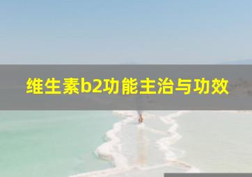 维生素b2功能主治与功效