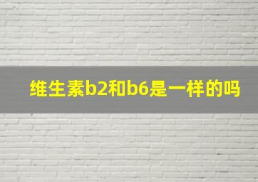 维生素b2和b6是一样的吗