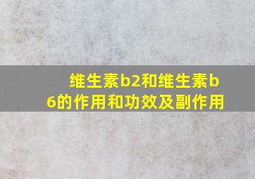 维生素b2和维生素b6的作用和功效及副作用