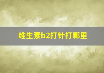 维生素b2打针打哪里