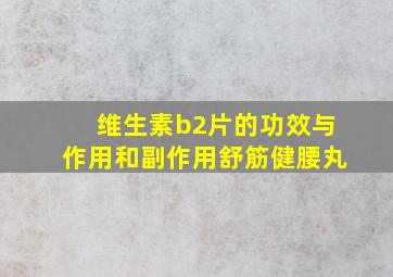 维生素b2片的功效与作用和副作用舒筋健腰丸