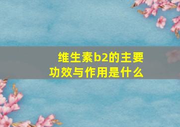 维生素b2的主要功效与作用是什么